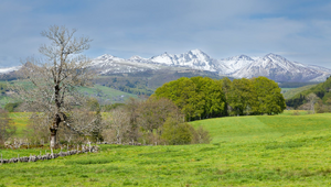 Courtier en Crédit Mont-de-Marsan